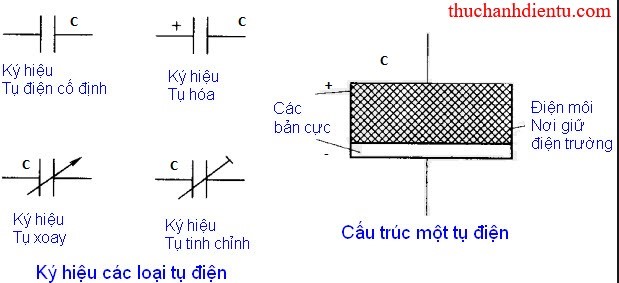 tu dien